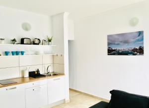 Kuchyň nebo kuchyňský kout v ubytování Apartamentos Anjomacar B