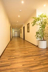 Gallery image of Hotel Viola in Hochheim am Main