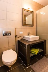 a bathroom with a sink and a toilet and a mirror at Hotel Viola in Hochheim am Main