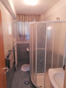 y baño con ducha y lavamanos. en Apartman Bruna, en Novigrad Istria