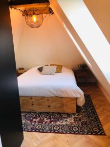 een slaapkamer met een bed en een kroonluchter bij B&B Gasthuisstraat Dokkum in Dokkum