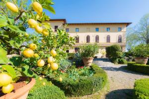 uma laranjeira em frente a um edifício em Villa Scacciapensieri Boutique Hotel em Siena