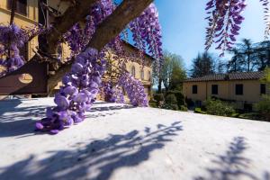 Zahrada ubytování Villa Scacciapensieri Boutique Hotel
