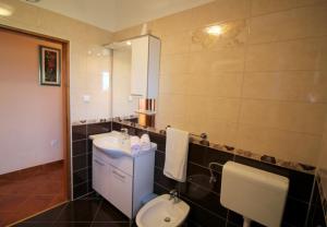 a bathroom with a sink and a toilet at Apartment Liliana near beach in Poreč