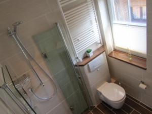 a bathroom with a glass shower and a toilet at Komfortappartement Robbe in Neuharlingersiel