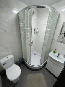 a bathroom with a shower and a toilet and a sink at Апартаменты LUX в центре. Ярослава Мудрого 72 (97й квартал) in Kryvyi Rih