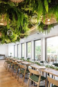 HERBARIUM boutique hotel في أولوموك: صف من الطاولات مع الكراسي الخضراء في غرفة بها نوافذ