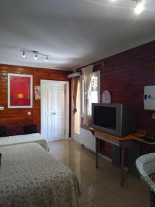 Televízia a/alebo spoločenská miestnosť v ubytovaní Atardecer en Gredos 2
