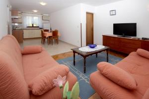 Televízia a/alebo spoločenská miestnosť v ubytovaní Apartment Solman