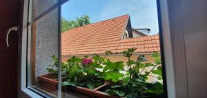 O grădină în afara Hotel Karlštejn & SPA