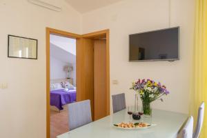 TV a/nebo společenská místnost v ubytování Apartments Kasalo