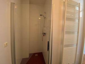 een douche met een glazen deur in de badkamer bij Hello Zeeland - Appartement Port Scaldis 21-072 in Breskens