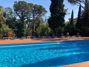 uma piscina com cadeiras azuis e árvores em Villa del Parco Resort em San Baronto
