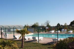 a pool with chairs and a palm tree next to a fence at Cottages du Lac de Miel in Beynat