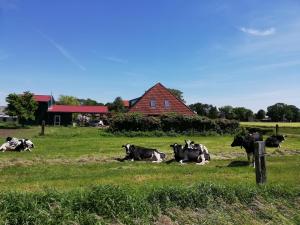 Gambar di galeri bagi Etzel-Lodge Weideblick di Friedeburg