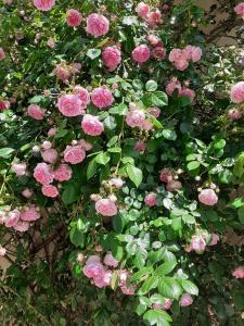 Saint-MacaireMaison atypique dans cité médiévale的相册照片