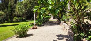 un chemin dans un parc arboré et un bâtiment dans l'établissement Memento, à Ossi