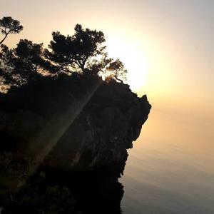 Φωτογραφία από το άλμπουμ του Villa Luka σε Brela