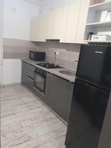 Kuchyň nebo kuchyňský kout v ubytování Apartament Radu