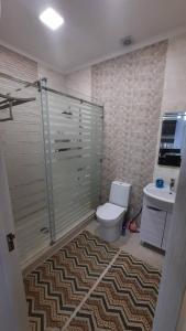 a bathroom with a shower and a toilet and a sink at Уютный коттедж на берегу Иссык-Куля, Киргизия in Chok-Tal