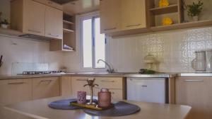 Kuchyň nebo kuchyňský kout v ubytování Mobile Homes Bilice