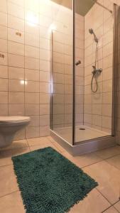 a bathroom with a shower and a green rug at AGROTURYSTYKA U MADZI in Korbielów