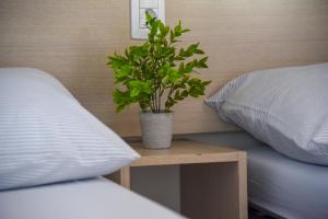 Postel nebo postele na pokoji v ubytování Mobile Homes Bilice