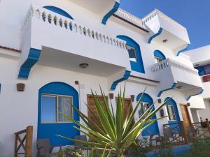 Dahab Beach Lodge في دهب: منزل بجدران زرقاء وبيضاء ومصنع