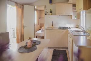 Kuchyň nebo kuchyňský kout v ubytování Mobile Homes Bilice