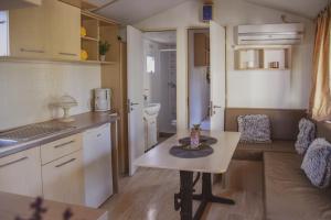 Kuchyň nebo kuchyňský kout v ubytování Mobile Homes Bilice