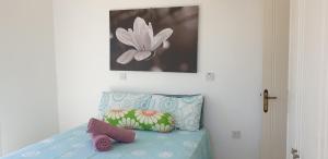 Gallery image of Athena and The Owl Beachside Apt in Paphos