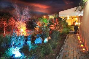 a garden with colorful plants and lights at night at Spa of Nature in Ani'am