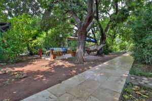 Fotografie z fotogalerie ubytování Three Islands Bungalow v destinaci Çıralı