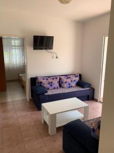 Anita Guest House في تيفات: غرفة معيشة مع أريكة زرقاء وتلفزيون