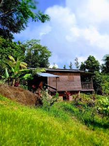 uma pequena casa de madeira numa colina num campo em Roots Jungle Retreat em Marigot