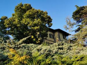 una casa in cima a una collina con alberi di B&B Casa Percivalle a Borgo Priolo