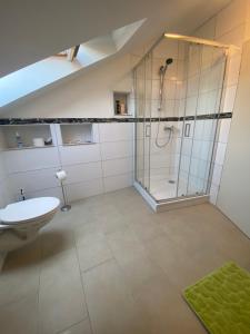 an attic bathroom with a shower and a toilet at Unterkünfte nahe Einfelder See, in Neumünster +51 photos
