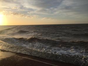 a view of the ocean from the beach at A Wave From It All in Great Clacton