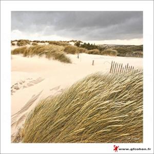 eine Sanddüne mit Gras davor in der Unterkunft Chambre d'hôtes Les Nymphéas in Wimereux