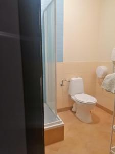 a bathroom with a toilet and a shower at Pokoje Galeria Brama in Kazimierz Dolny +27 photos