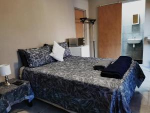 a bedroom with a bed and a sink in it at Ambiente Budget Accommodation in Upington