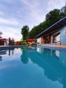 Bazén v ubytování Hotel Erasmus - Mein Genuss- und Wellnesshotel nebo v jeho okolí