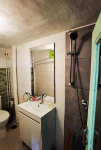 トマールにあるComenda da Povoaのバスルーム(洗面台、鏡、トイレ付)