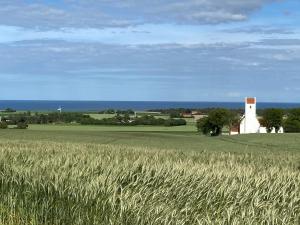 Φυσικό τοπίο κοντά σε αυτό το θέρετρο