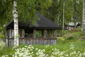 una vieja cabaña en medio de un bosque en Tarina-Aho Resort, en Vuonislahti