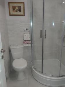 a white bathroom with a shower and a toilet at New Kosljun Apartment short walk to Beach in Košljun +28 photos