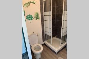 a bathroom with a toilet and a shower at Studio lumineux à proximité de domaines viticoles in Cairanne
