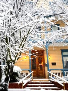 uma árvore coberta de neve em frente a uma casa em American River Inn em Georgetown