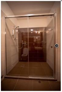 a glass shower in a bathroom with a toilet at Penzion u Bláhů in Dolany