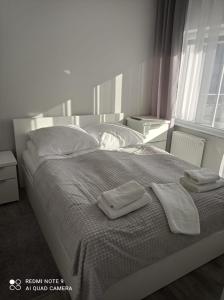 Apartament Silence Baltic Karmel tesisinde bir odada yatak veya yataklar